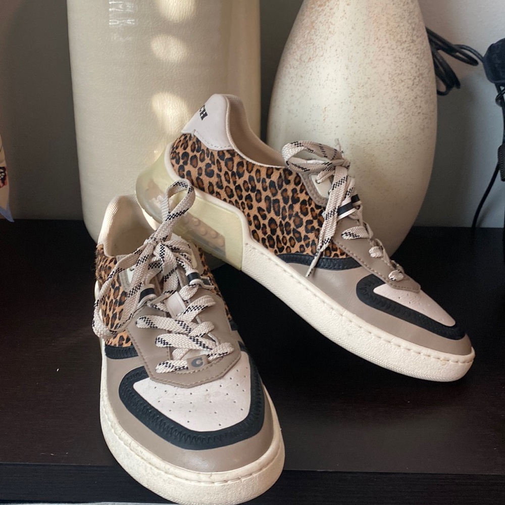 Coach 8.5